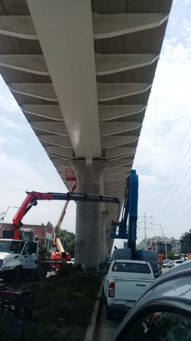 Tren Ligero de Guadalajara — foto 3